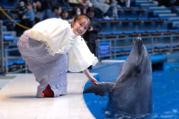 イルカと握手する百田夏菜子