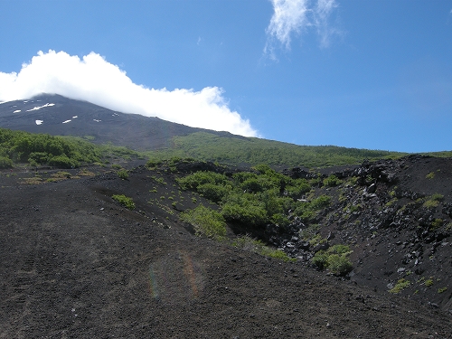 富士山　2013.jpg