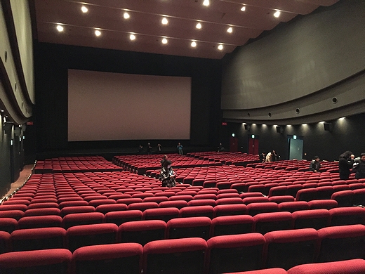 閉館した日劇１館内.jpg